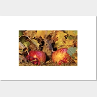 wild Autumn house mouse and  apple Posters and Art